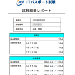 IT Passport report